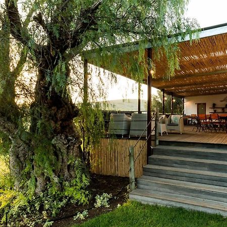Matjiesrivier  Swartberg Country Manor 게스트하우스 외부 사진