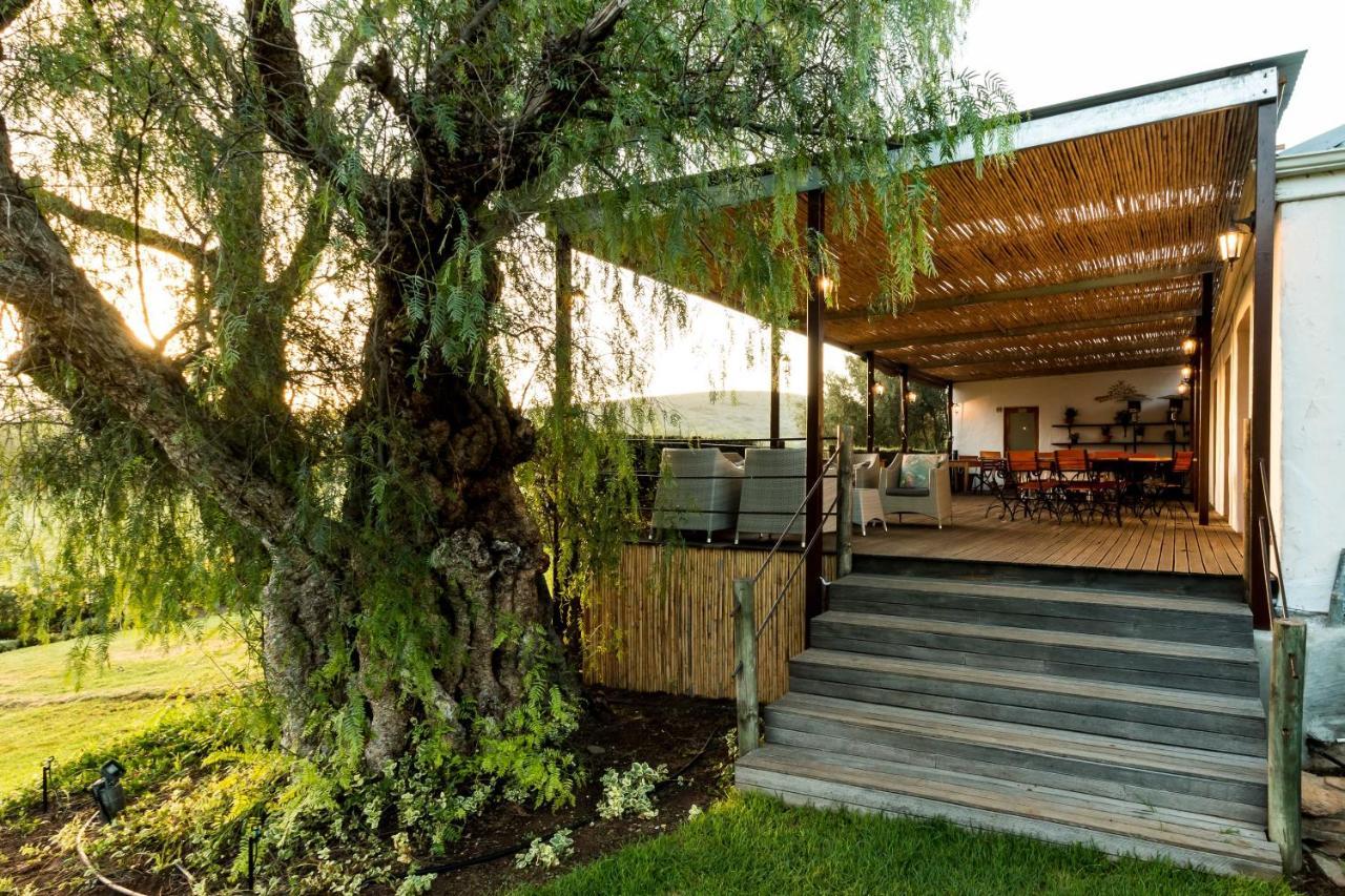Matjiesrivier  Swartberg Country Manor 게스트하우스 외부 사진