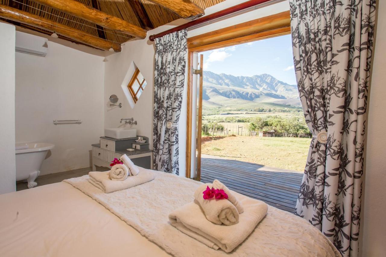 Matjiesrivier  Swartberg Country Manor 게스트하우스 외부 사진