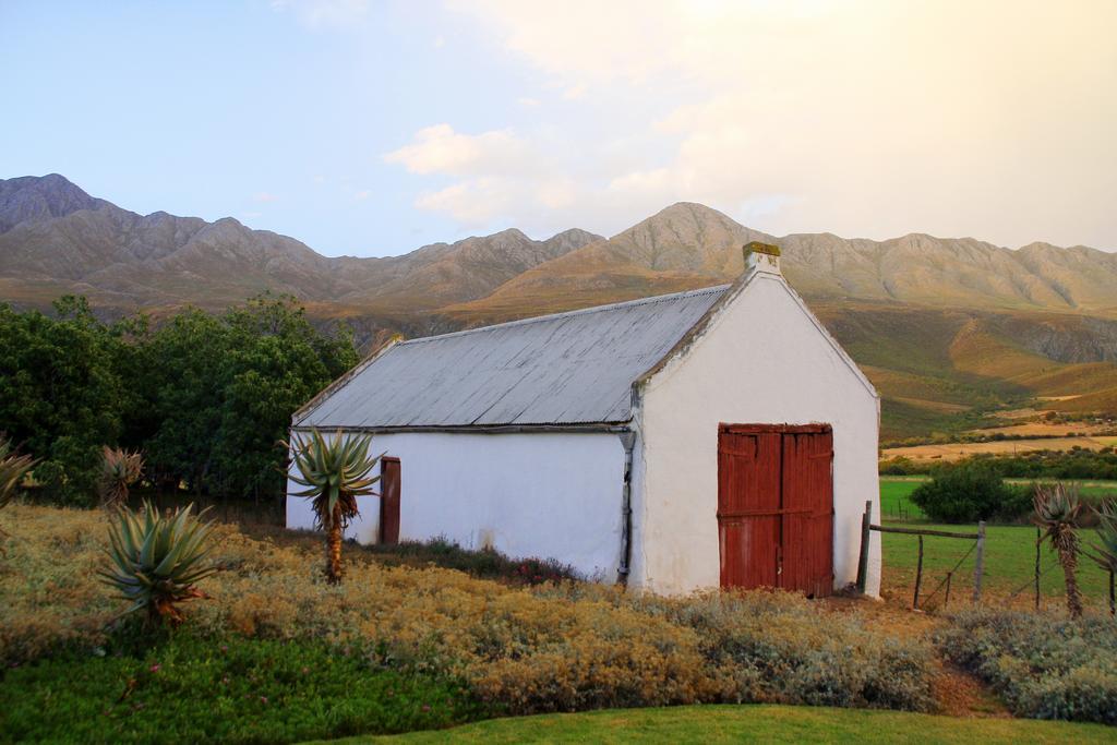 Matjiesrivier  Swartberg Country Manor 게스트하우스 외부 사진