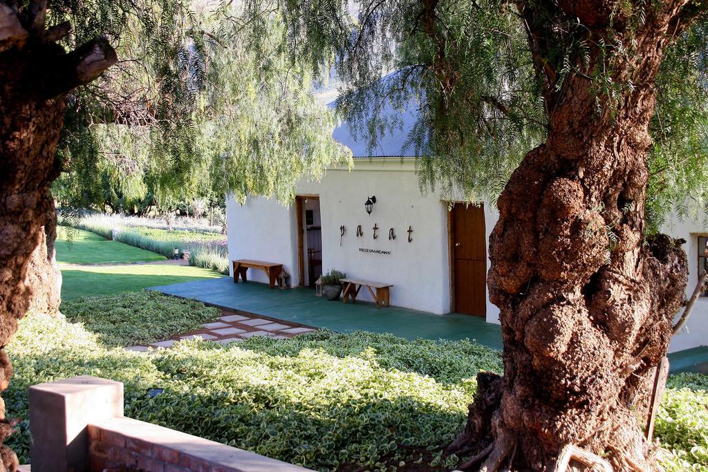 Matjiesrivier  Swartberg Country Manor 게스트하우스 외부 사진