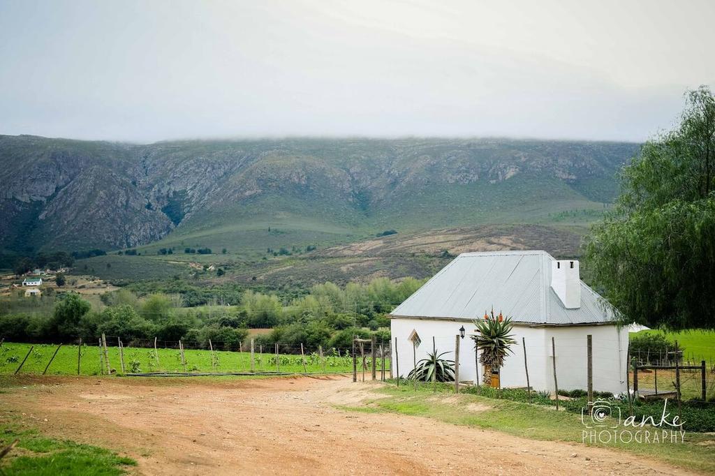Matjiesrivier  Swartberg Country Manor 게스트하우스 외부 사진