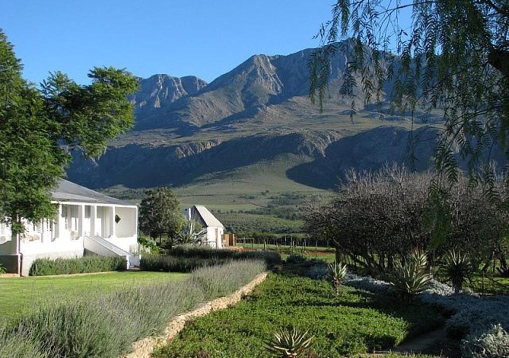 Matjiesrivier  Swartberg Country Manor 게스트하우스 외부 사진