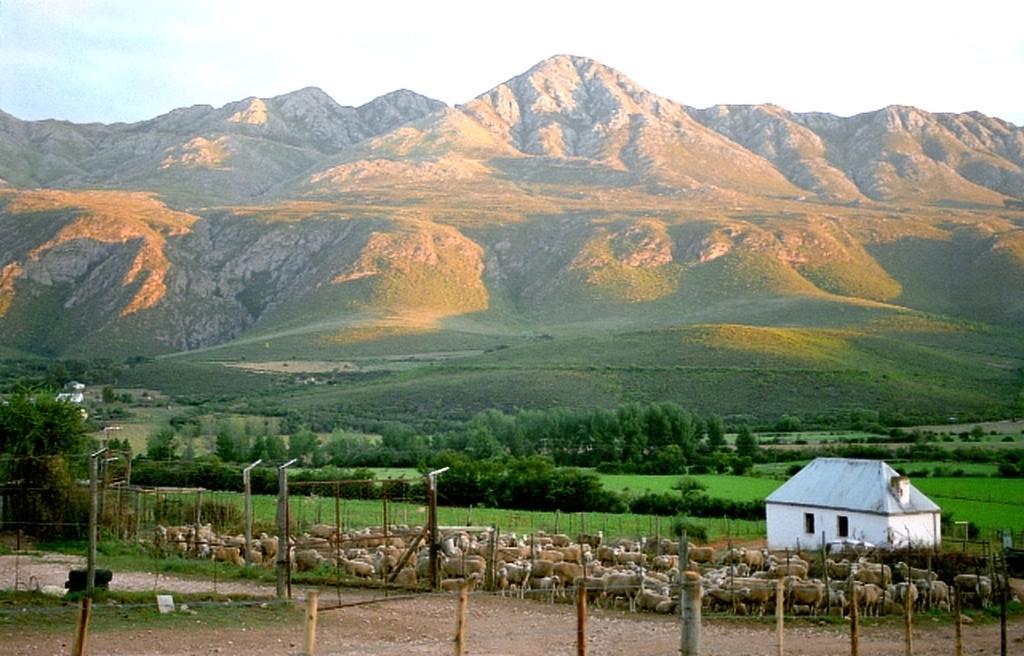 Matjiesrivier  Swartberg Country Manor 게스트하우스 외부 사진