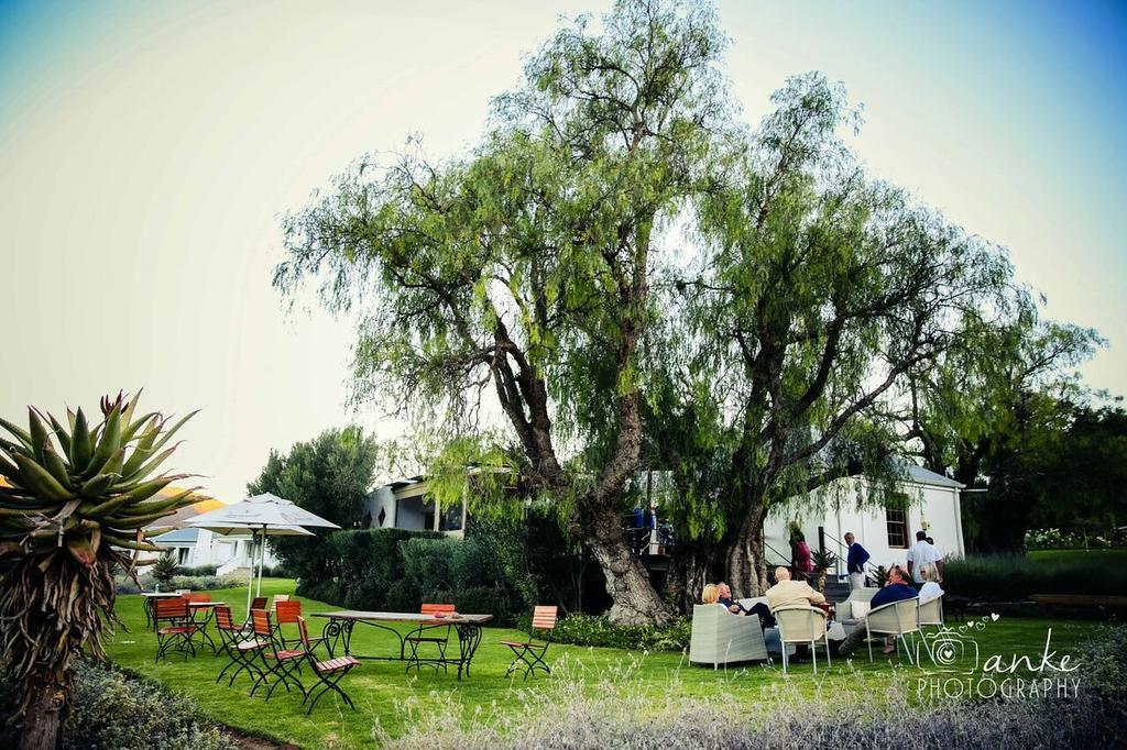 Matjiesrivier  Swartberg Country Manor 게스트하우스 외부 사진